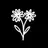Logo of deeply.